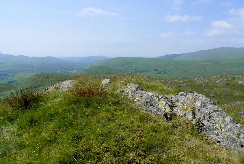 Whin Crag's summit Whin Crag's summit